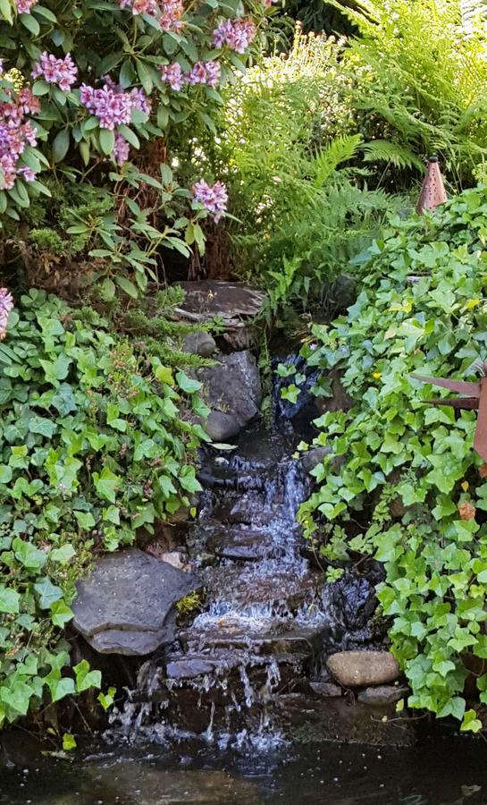 Five Seasuns Bed And Breakfast Port Angeles Exterior photo